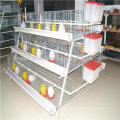Design hot galvanized chicken breeding cage with automatic drinking system